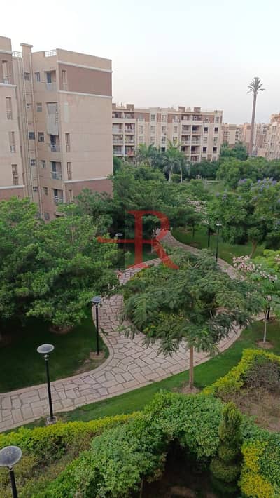 3 Bedroom Apartment for Rent in Madinaty, Cairo - WhatsApp Image 2026-09-13 at 4.05. 17 PM. jpeg