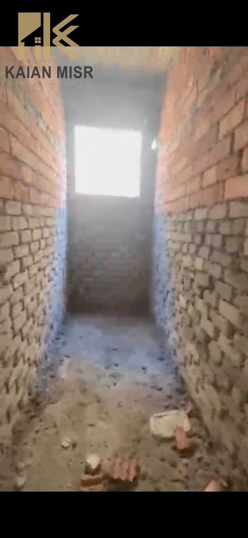 4 12397. jpg