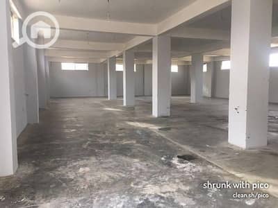 Factory for Rent in Nasr City, Cairo - 1000050358. jpg