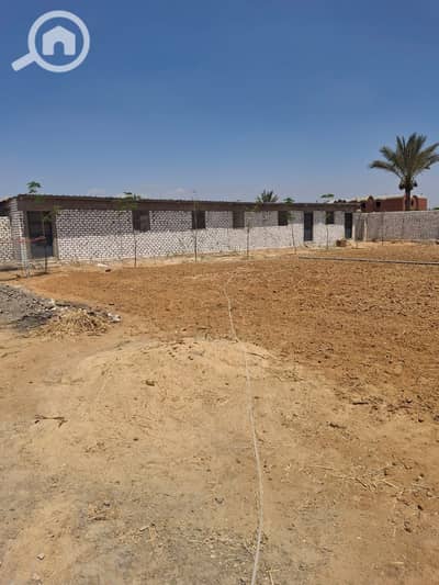 Agricultural Land for Sale in Ismailia City, Ismailia - WhatsApp Image 2026-09-15 at 1.03. 41 PM (3). jpeg Agricultural Land for Sale in Ismailia City, Ismailia - WhatsApp Image 2026-09-15 at 1.03. 41 PM (3). jpeg