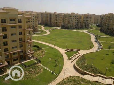 3 Bedroom Flat for Sale in Madinaty, Cairo - e066df5e-0146-4f7b-b8e0-ef234451cf1d. jpg
