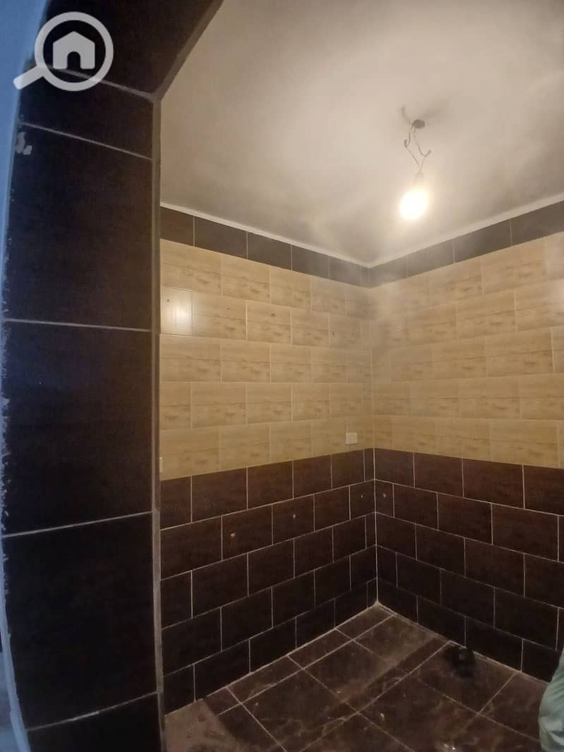 3 274196. jpg
