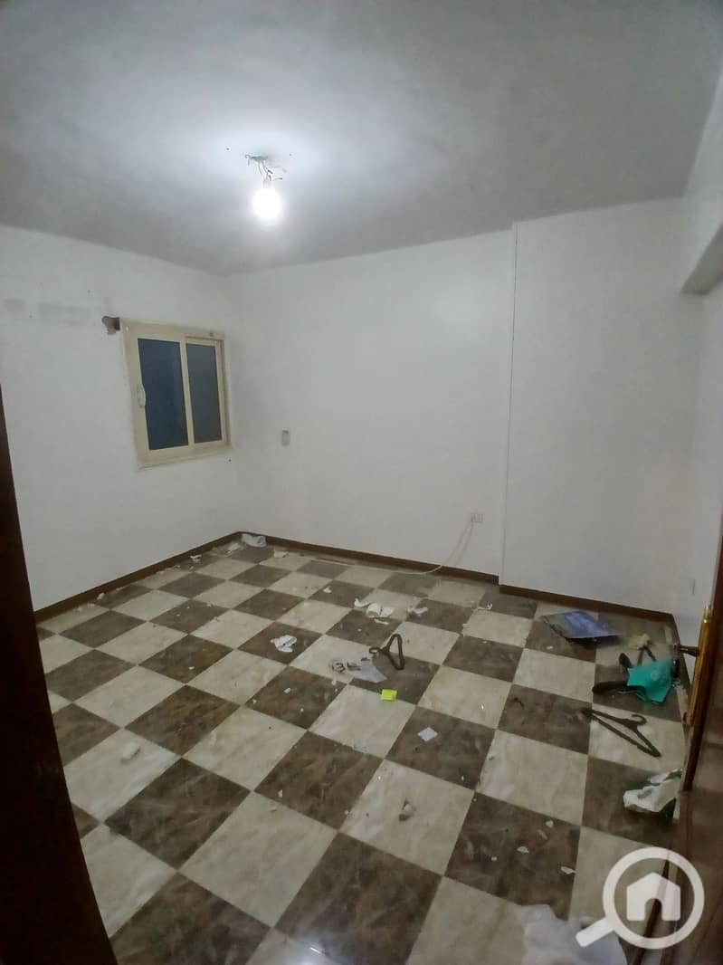 5 274193. jpg