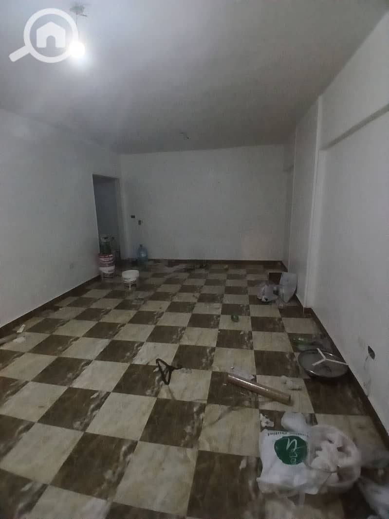 7 274191. jpg