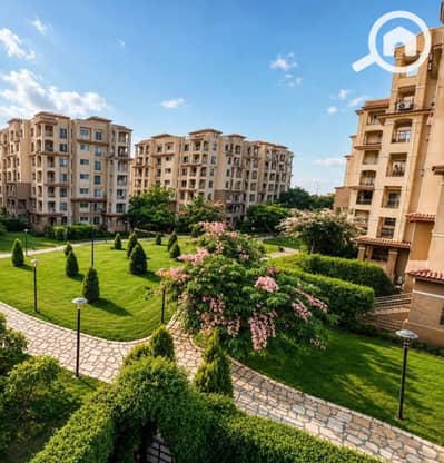 3 Bedroom Apartment for Rent in Madinaty, Cairo - WhatsApp Image 2026-09-15 at 4.46. 50 PM. jpeg