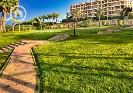 تاون هاوس 5 غرف نوم للبيع في الشيخ زايد، الجيزة - 1000873009. jpg تاون هاوس 5 غرف نوم للبيع في الشيخ زايد، الجيزة - 1000873009. jpg