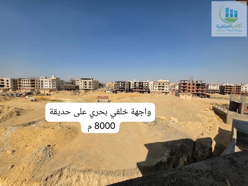 2 55541. jpg