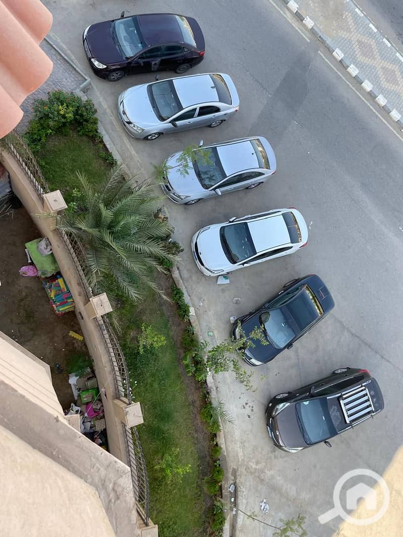 2 1000465904. jpg