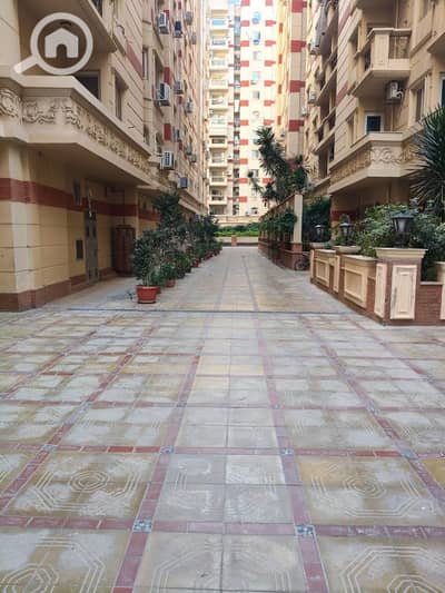 فلیٹ 3 غرف نوم للايجار في سموحة، الإسكندرية - 1000375743. jpg فلیٹ 3 غرف نوم للايجار في سموحة، الإسكندرية - 1000375743. jpg