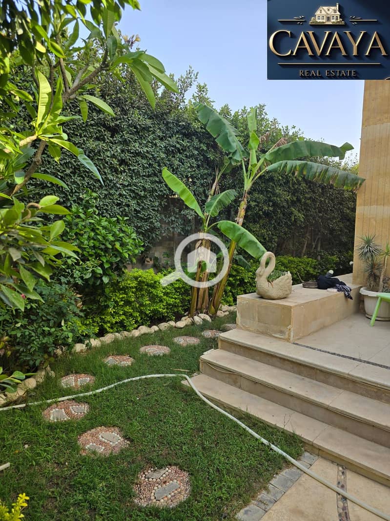 7 Untitled design (7). png