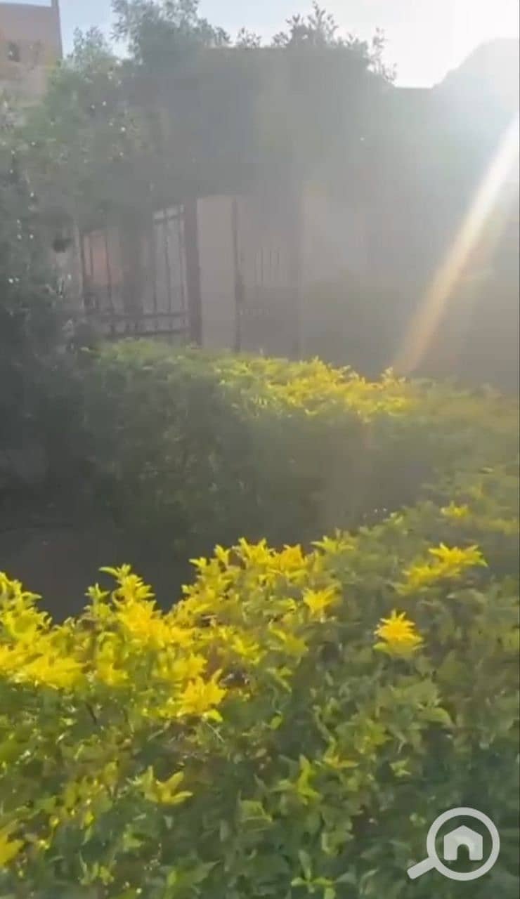 8 1000776368. jpg