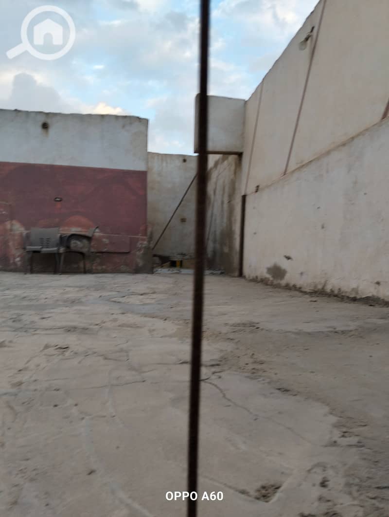 20 1000018535. jpg
