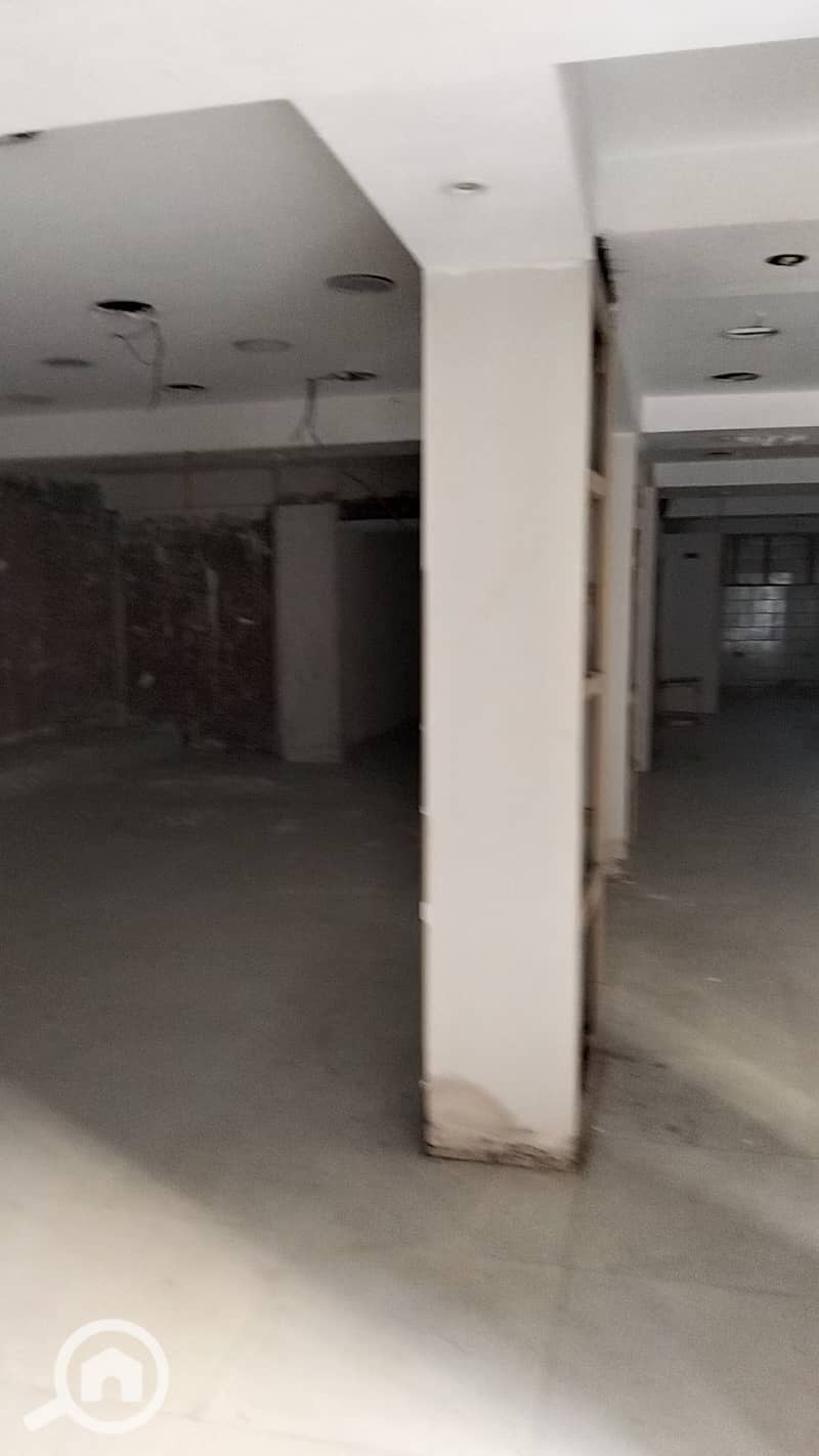 18 1000125290. jpg