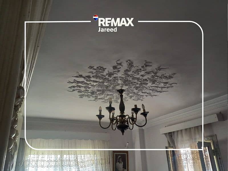 14 Untitled-design---15. png---3a388bed9bf0d0ab3fa0718579801519. png