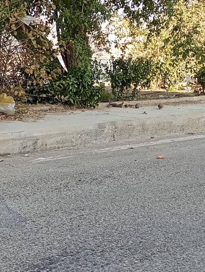 Commercial Land for Sale in Mansuriyya, Giza - قطعة في طريق المنصورية الرئيسى Commercial Land for Sale in Mansuriyya, Giza - قطعة في طريق المنصورية الرئيسى