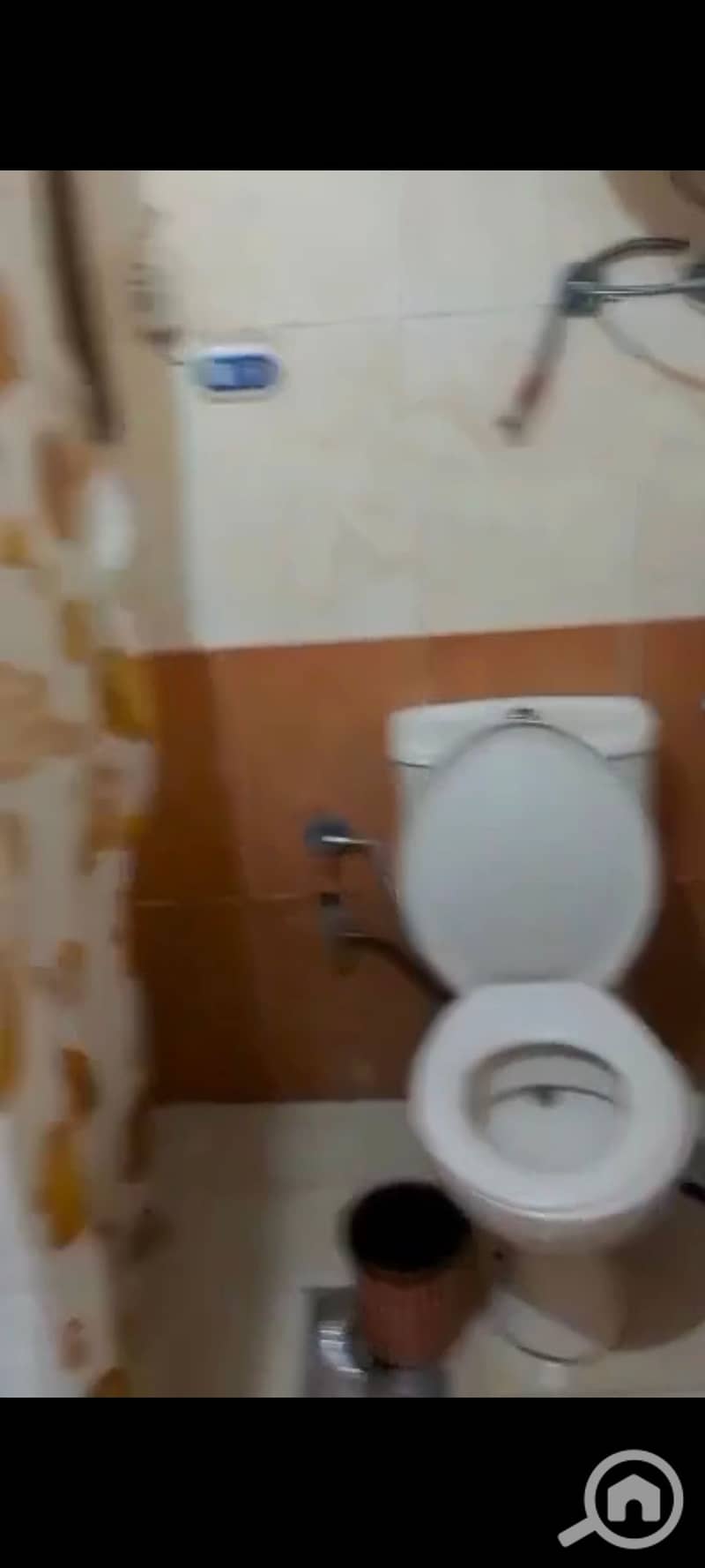12 124186. jpg