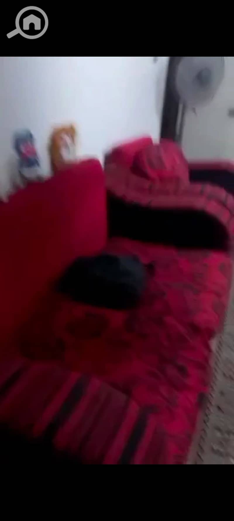 20 124177. jpg