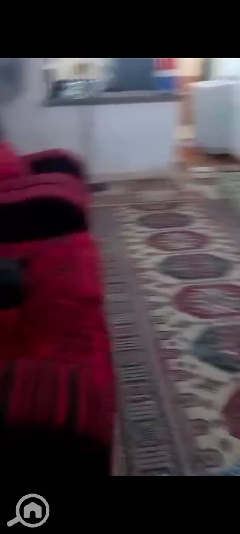 21 124176. jpg