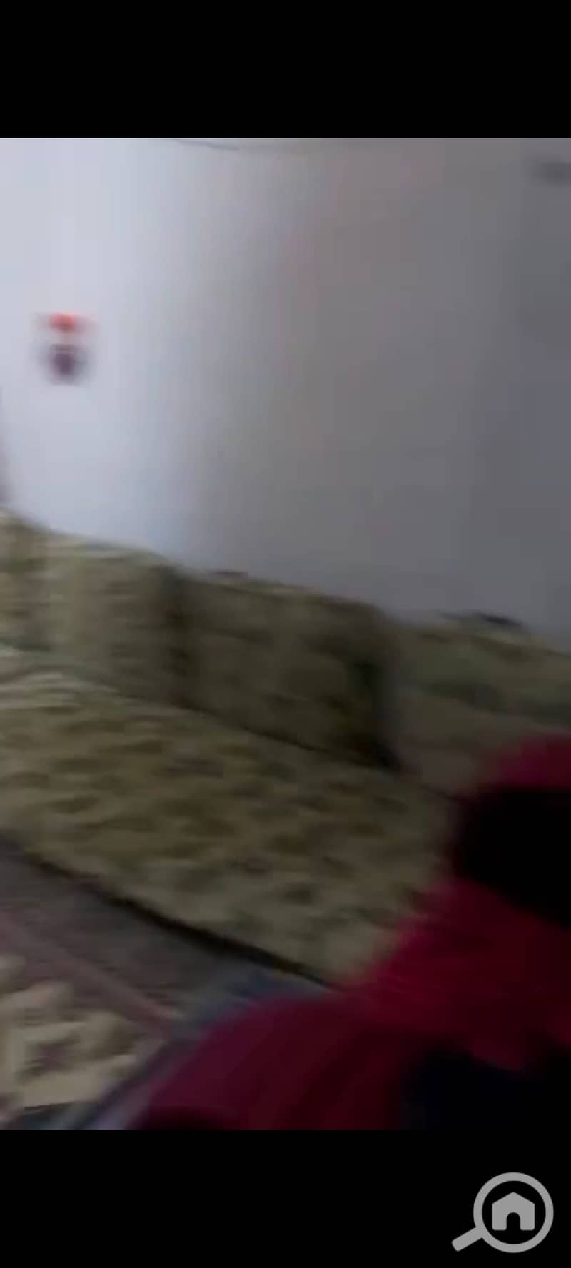 22 124174. jpg