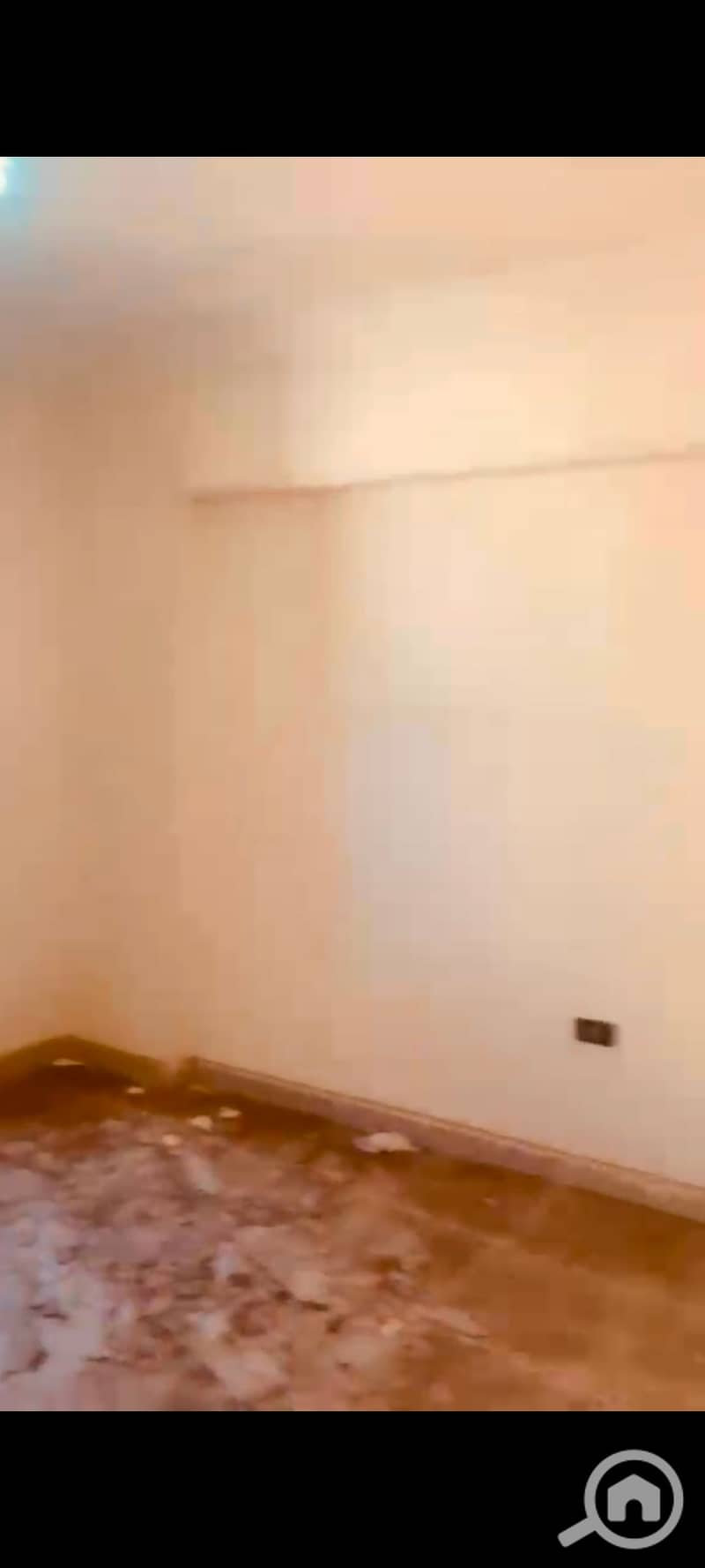 5 124365. jpg