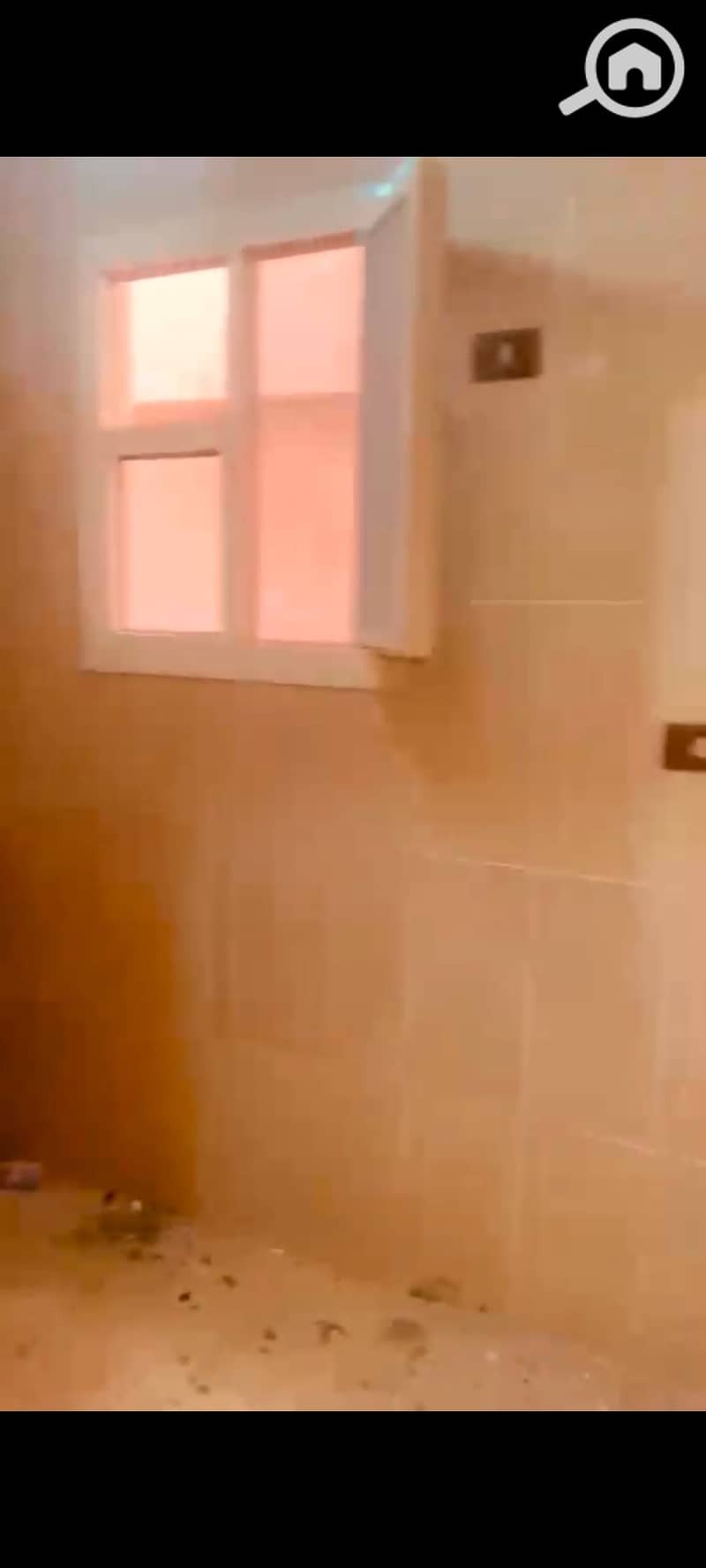 8 124357. jpg