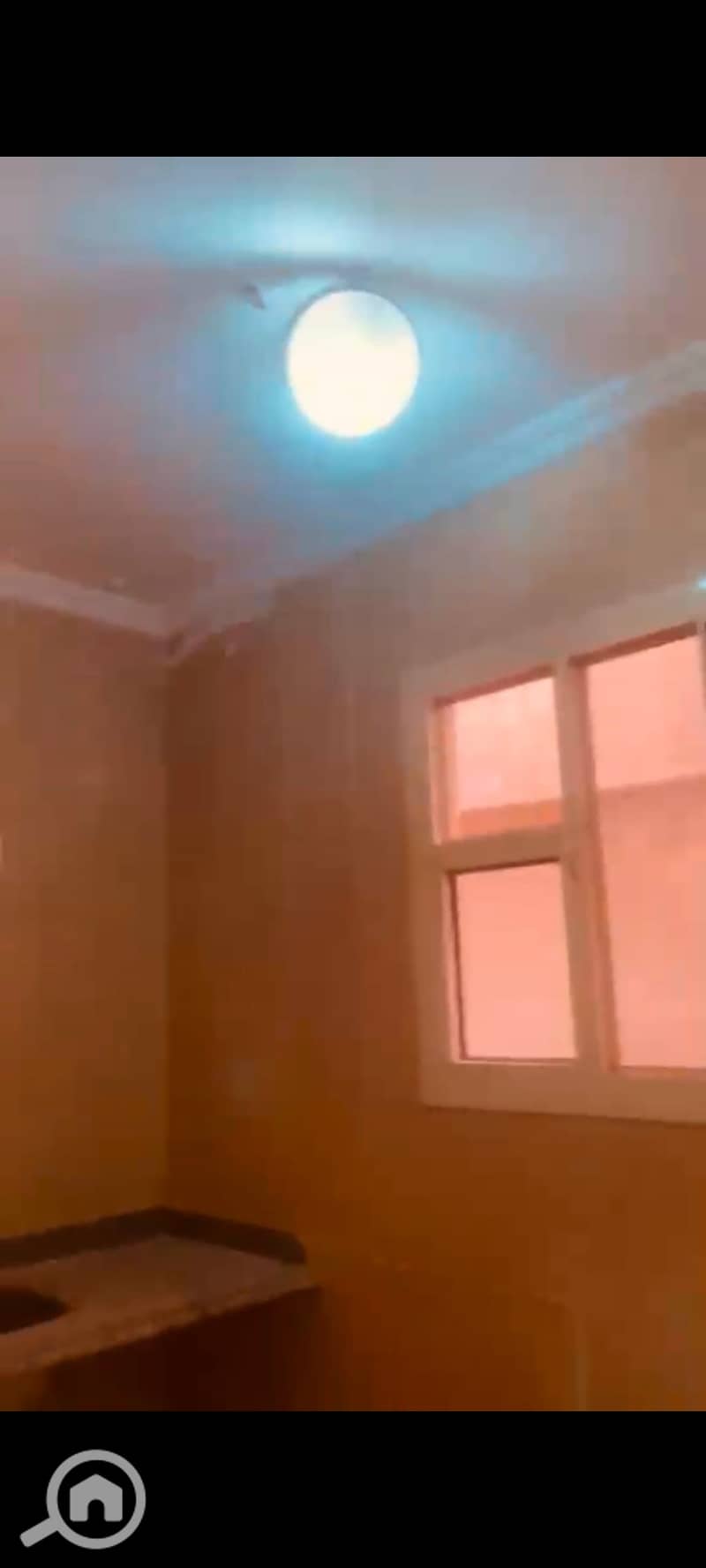 9 124358. jpg
