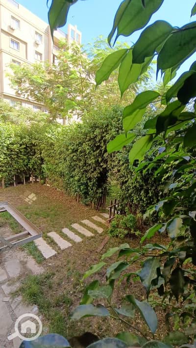 3 Bedroom Flat for Rent in Madinaty, Cairo - 22156. jpg 3 Bedroom Flat for Rent in Madinaty, Cairo - 22156. jpg