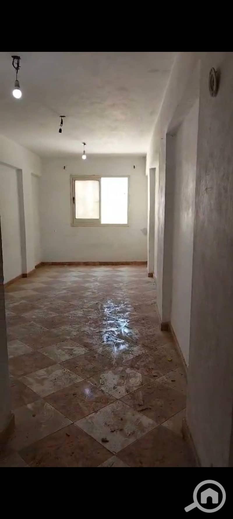 4 124373. jpg