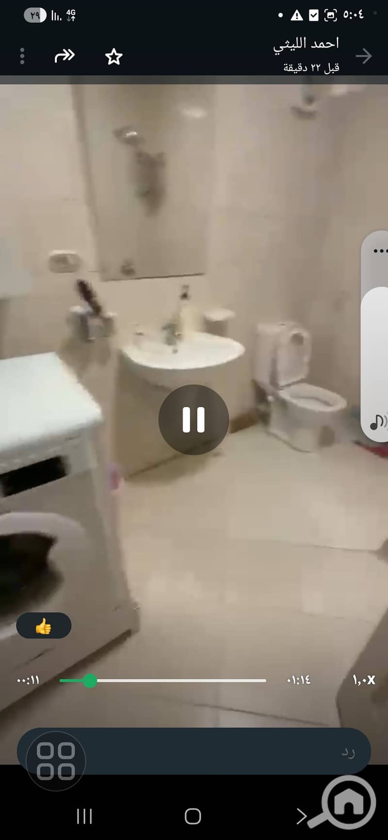3 1000700316. jpg