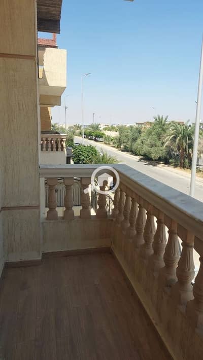 فلیٹ 3 غرف نوم للايجار في القاهرة الجديدة، القاهرة - IMG_7449. jpg فلیٹ 3 غرف نوم للايجار في القاهرة الجديدة، القاهرة - IMG_7449. jpg