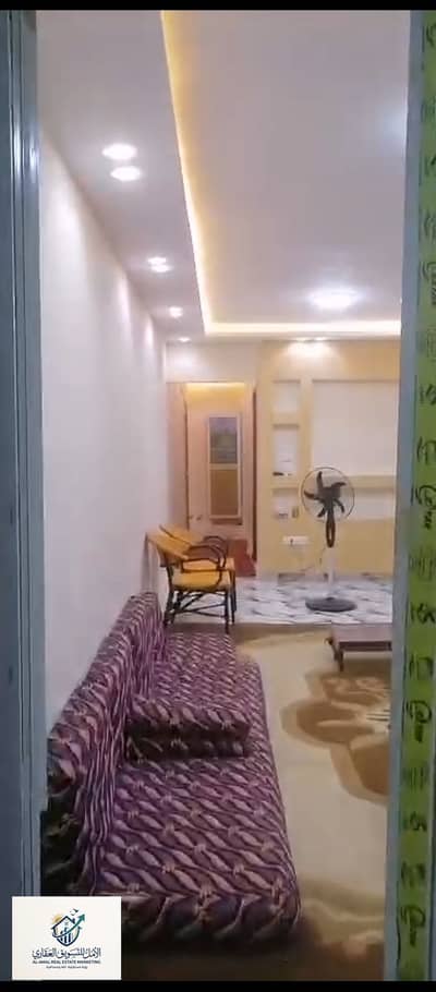 2 Bedroom Apartment for Rent in Maadi, Cairo - 1000279174. jpg 2 Bedroom Apartment for Rent in Maadi, Cairo - 1000279174. jpg