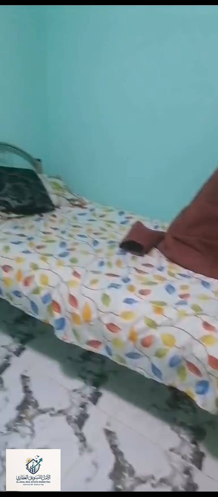 10 1000279212. jpg