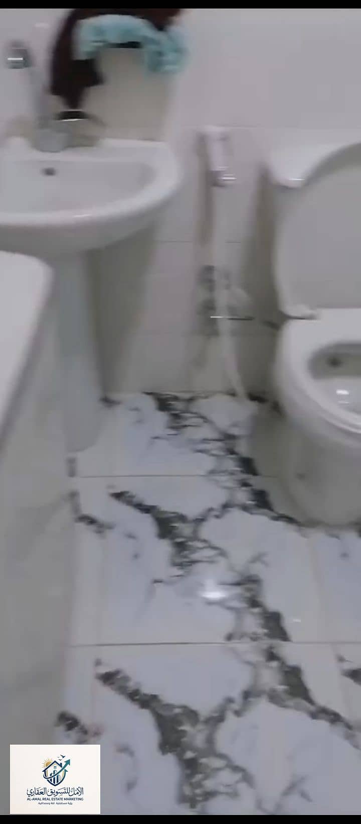 17 1000279206. jpg