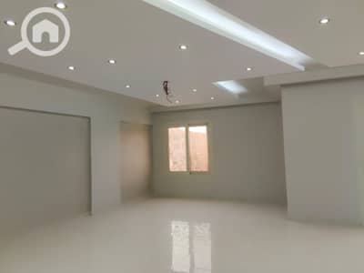 2 Bedroom Flat for Rent in Heliopolis, Cairo - 1002253487. jpg