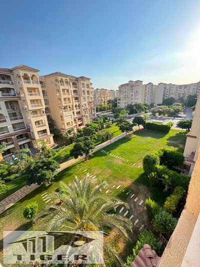 3 Bedroom Apartment for Sale in Madinaty, Cairo - 156298. jpg 3 Bedroom Apartment for Sale in Madinaty, Cairo - 156298. jpg