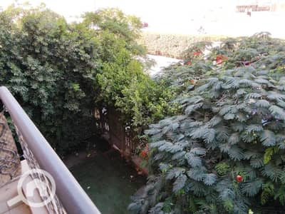 2 Bedroom Apartment for Rent in New Cairo, Cairo - IMG-20251026-WA0212. jpg