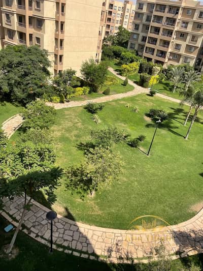 3 Bedroom Apartment for Rent in Madinaty, Cairo - 90dbbf71-962f-41d8-ab83-25e1aca052f5. jpg 3 Bedroom Apartment for Rent in Madinaty, Cairo - 90dbbf71-962f-41d8-ab83-25e1aca052f5. jpg