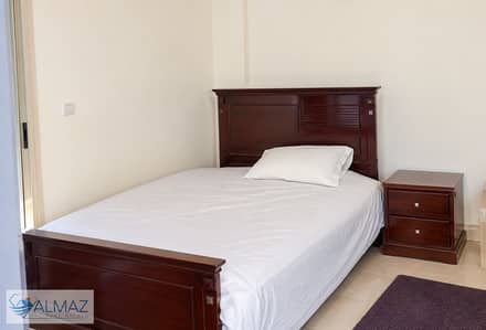 2 Bedroom Flat for Rent in New Cairo, Cairo - WhatsApp Image 2026-09-16 at 11.54. 53 AM. jpeg