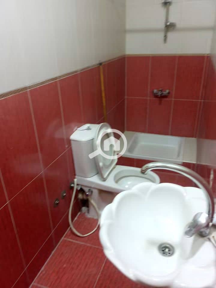 7 1000393433. jpg