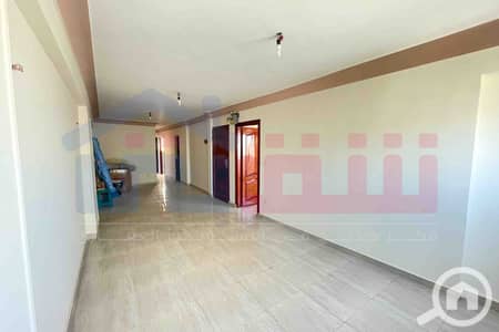 3 Bedroom Apartment for Sale in Al Ibrahimiyyah, Alexandria - WhatsApp Image 2026-09-12 at 10.09. 56. jpg