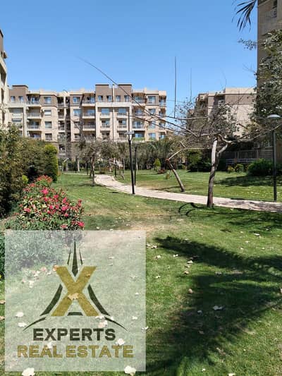 3 Bedroom Apartment for Sale in Madinaty, Cairo - WhatsApp Image 2026-09-16 at 1.43. 43 PM (1). jpeg 3 Bedroom Apartment for Sale in Madinaty, Cairo - WhatsApp Image 2026-09-16 at 1.43. 43 PM (1). jpeg