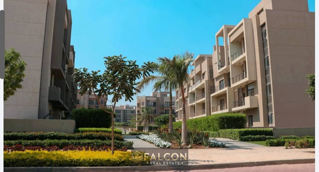 9 33ce21c5-2f6a-4e3f-adc9-348a86859b3d. jpg
