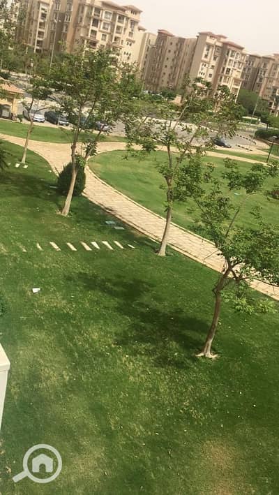 3 Bedroom Apartment for Rent in Madinaty, Cairo - WhatsApp Image 2026-09-16 at 2.08. 07 PM (2). jpeg