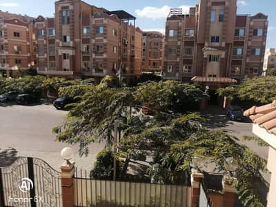 3 Bedroom Flat for Rent in Sheikh Zayed, Giza - WhatsApp Image 2026-09-09 at 3.38. 18 PM. jpeg 3 Bedroom Flat for Rent in Sheikh Zayed, Giza - WhatsApp Image 2026-09-09 at 3.38. 18 PM. jpeg