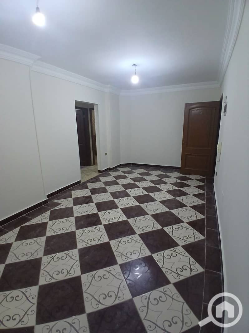 6 275909. jpg