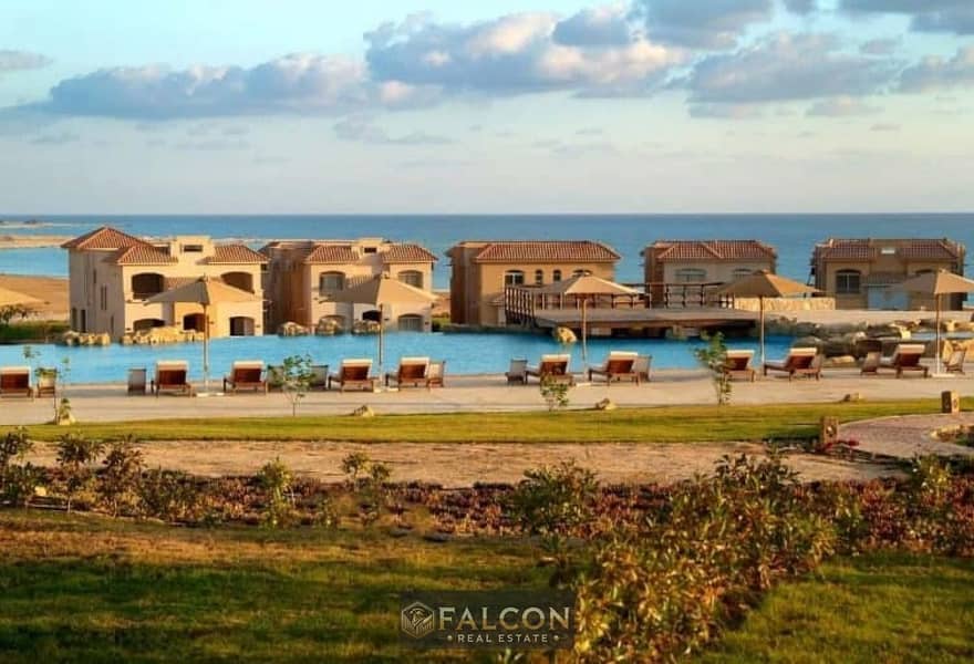 7 original (3). jpg