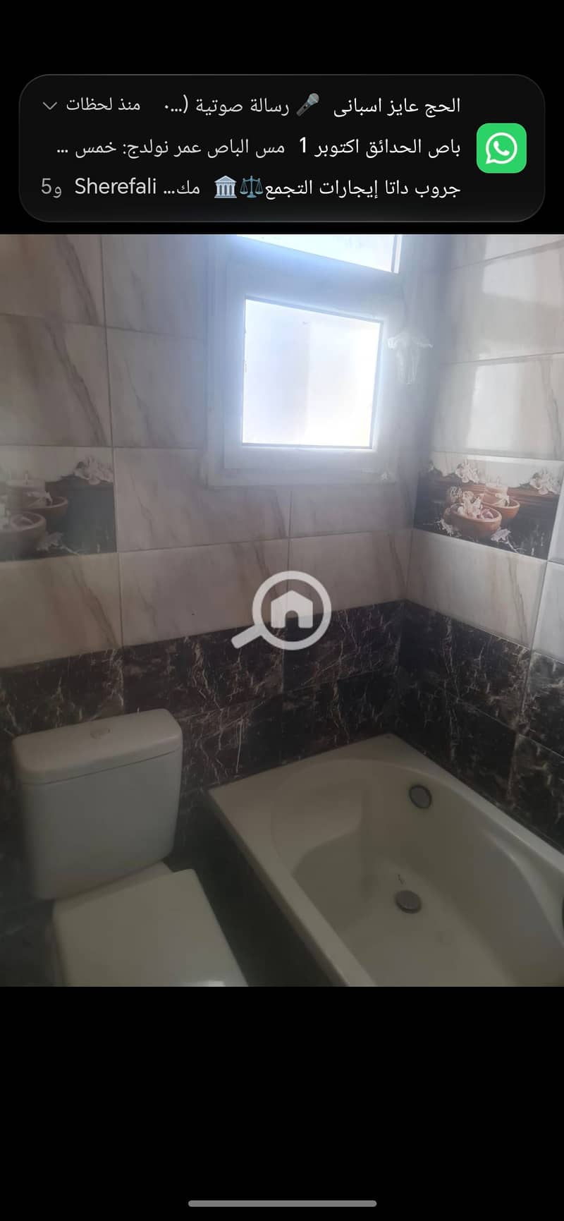 6 981847. jpg