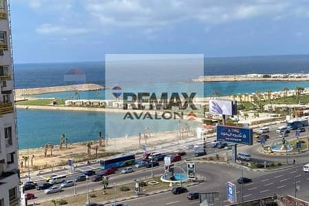 شقة 4 غرف نوم للبيع في زيزينيا، الإسكندرية - 1. jpg شقة 4 غرف نوم للبيع في زيزينيا، الإسكندرية - 1. jpg