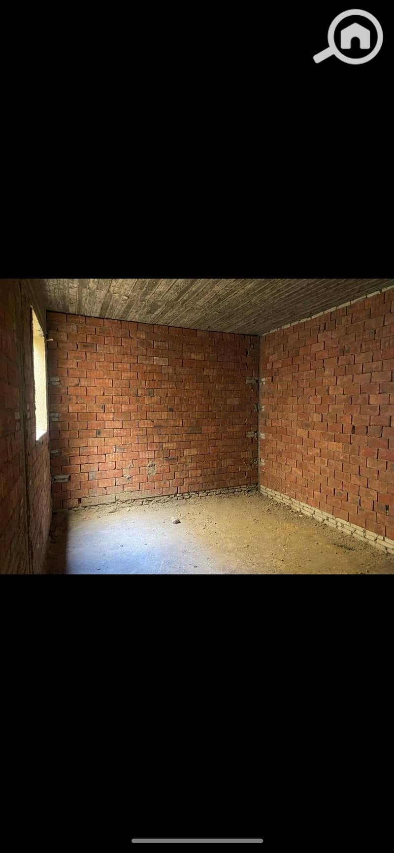 10 981935. jpg