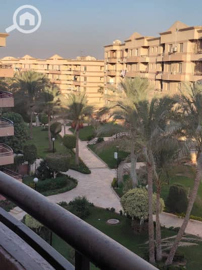 3 Bedroom Flat for Rent in New Cairo, Cairo - 1001242053. jpg 3 Bedroom Flat for Rent in New Cairo, Cairo - 1001242053. jpg